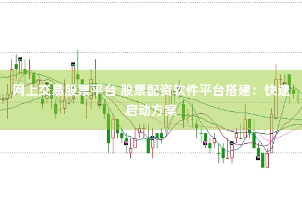 网上交易股票平台 股票配资软件平台搭建：快速启动方案