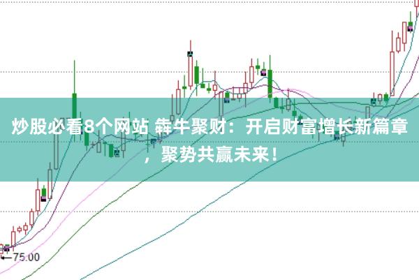 炒股必看8个网站 犇牛聚财：开启财富增长新篇章，聚势共赢未来！