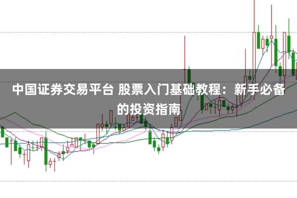 中国证券交易平台 股票入门基础教程：新手必备的投资指南