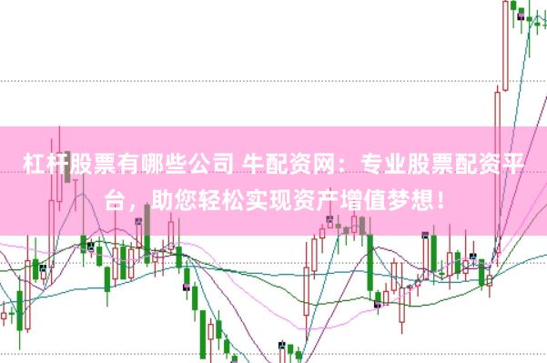 杠杆股票有哪些公司 牛配资网：专业股票配资平台，助您轻松实现资产增值梦想！