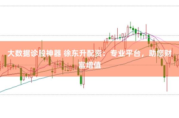 大数据诊股神器 徐东升配资：专业平台，助您财富增值
