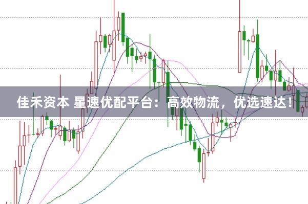 佳禾资本 星速优配平台：高效物流，优选速达！