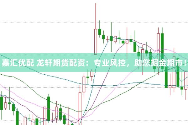 嘉汇优配 龙轩期货配资：专业风控，助您掘金期市！