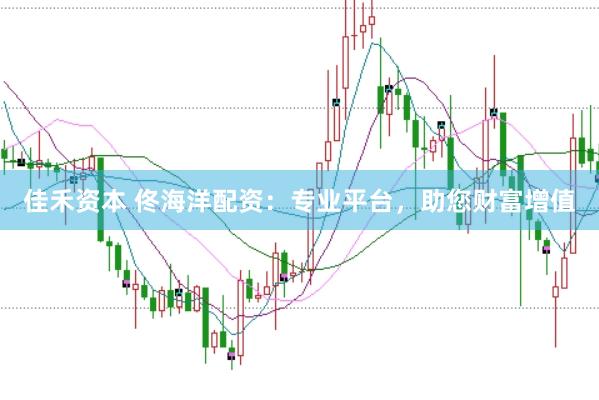 佳禾资本 佟海洋配资：专业平台，助您财富增值