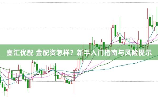 嘉汇优配 金配资怎样？新手入门指南与风险提示