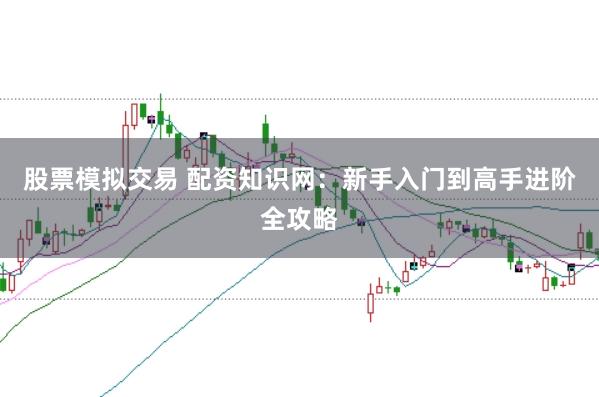 股票模拟交易 配资知识网：新手入门到高手进阶全攻略