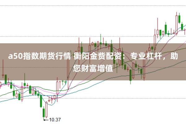 a50指数期货行情 衡阳金赀配资：专业杠杆，助您财富增值