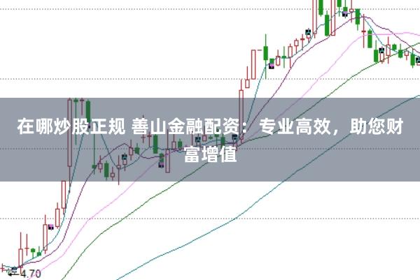 在哪炒股正规 善山金融配资：专业高效，助您财富增值