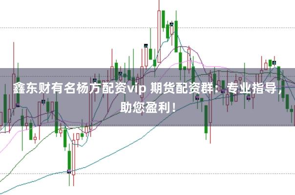 鑫东财有名杨方配资vip 期货配资群：专业指导，助您盈利！