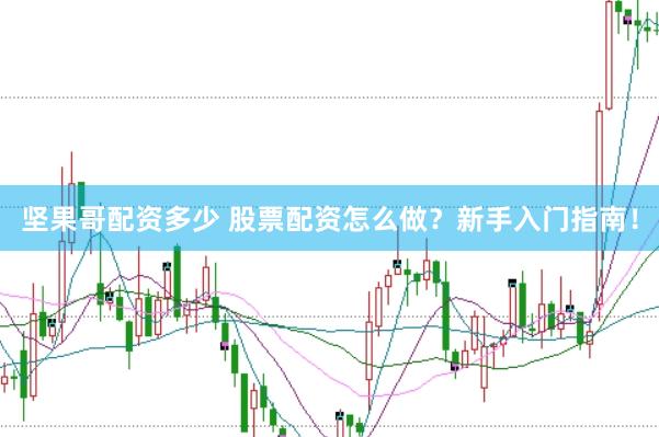 坚果哥配资多少 股票配资怎么做？新手入门指南！