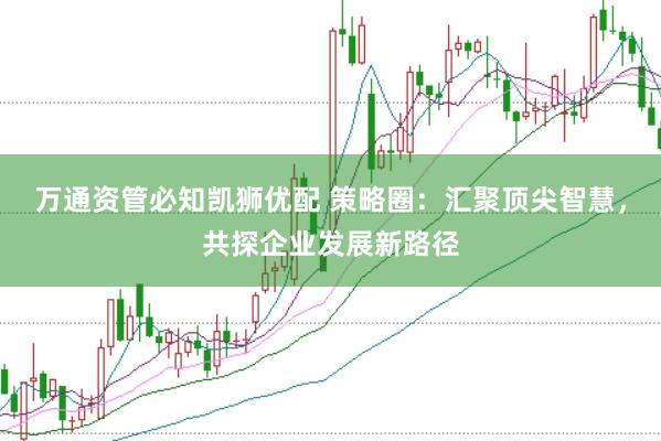 万通资管必知凯狮优配 策略圈：汇聚顶尖智慧，共探企业发展新路径