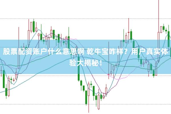 股票配资账户什么意思啊 乾牛宝咋样？用户真实体验大揭秘！