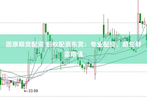 固原期货配资 蚂蚁配资东莞：专业配资，助您财富增值