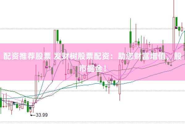配资推荐股票 发财树股票配资：助您财富增值，股市掘金！
