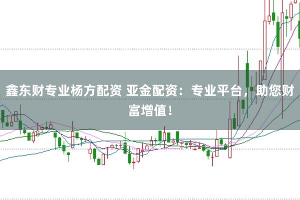 鑫东财专业杨方配资 亚金配资：专业平台，助您财富增值！