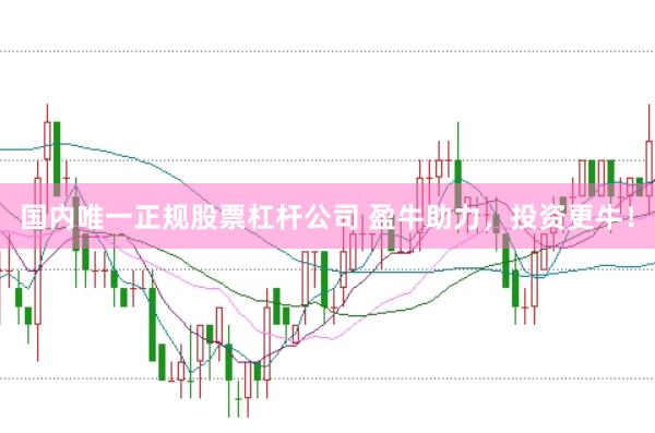 国内唯一正规股票杠杆公司 盈牛助力,投资更牛!