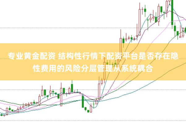专业黄金配资 结构性行情下配资平台是否存在隐性费用的风险分层管理从系统耦合