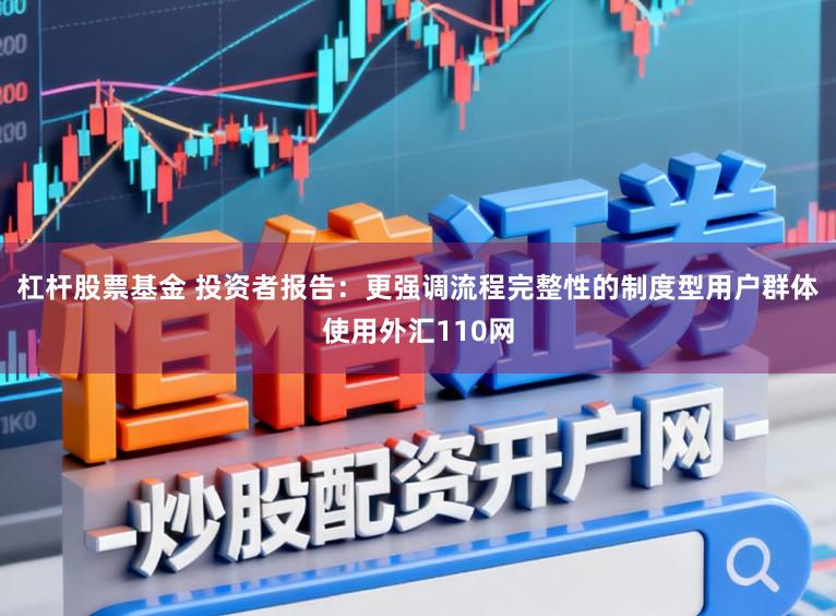 杠杆股票基金 投资者报告：更强调流程完整性的制度型用户群体使用外汇110网