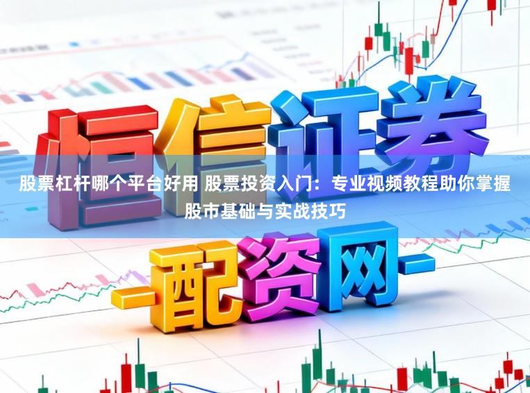 股票杠杆哪个平台好用 股票投资入门：专业视频教程助你掌握股市基础与实战技巧