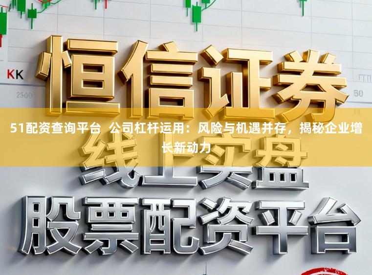 51配资查询平台  公司杠杆运用：风险与机遇并存，揭秘企业增长新动力